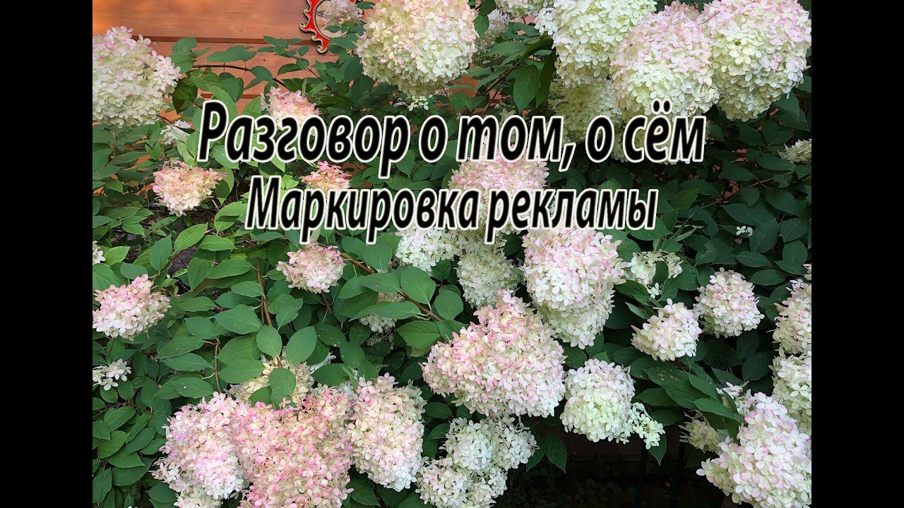 Маркировка рекламы. Разговор о том, о сём. смотреть онлайн