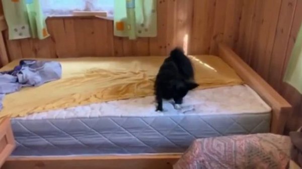 Видеоотзыв о матрасе Sleeptek Roll Special Foam Cocos 25.