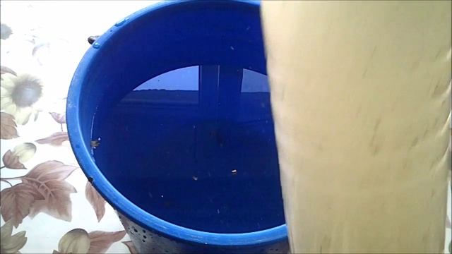 Селёдка в копченом масле смотреть онлайн