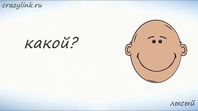 Внешность человека на немецком смотреть онлайн