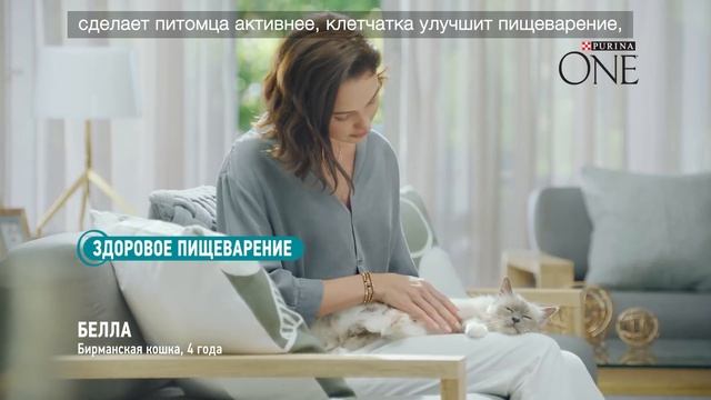 Purina One® Очевидный результат за 21 день.