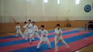 Ката на желтый пояс по каратэ. HOVSEP