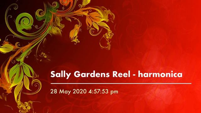 Sally Gardens Reel - harmonica смотреть онлайн