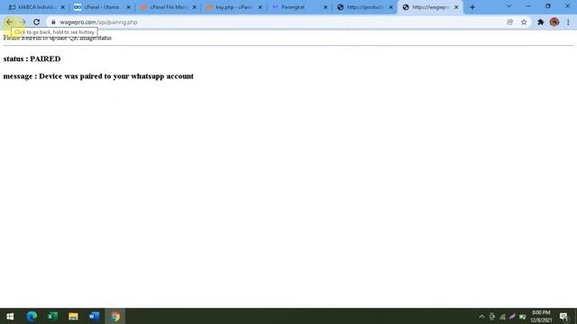 Send WhatsApp using API wagwpro - Change URL Server after Gedung Cyber Kebakaran смотреть онлайн