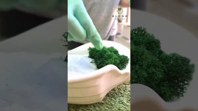 Как работать со стабилизированным мхом ягель смотреть онлайн