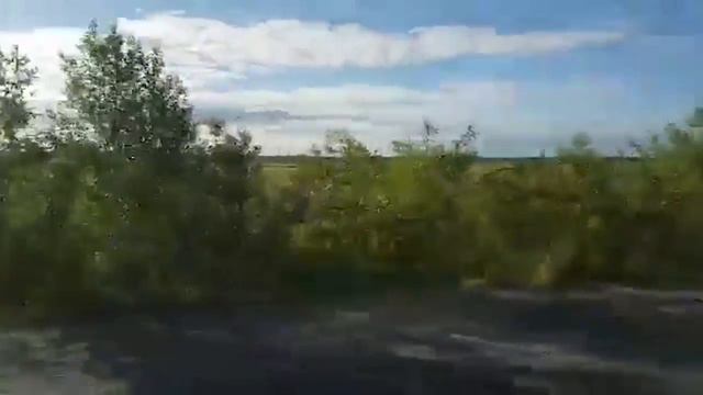 Догонялки с медведем NEW смотреть онлайн