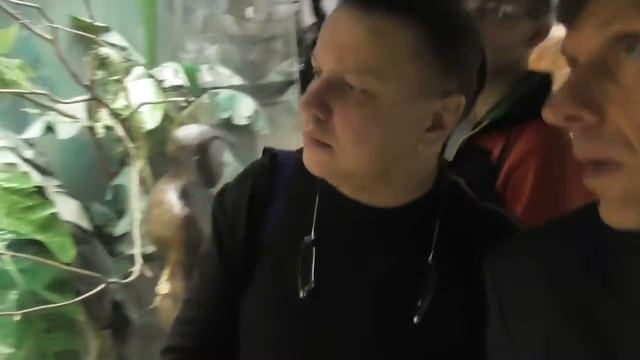 Загадка появления рас человека.А. Белов, В. Климов ч .1 смотреть онлайн