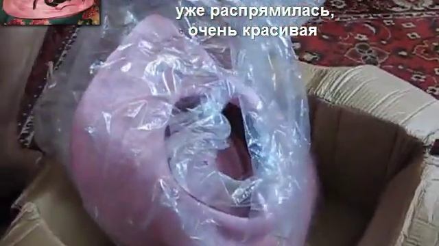 Шляпа, как у английской королевы... смотреть онлайн