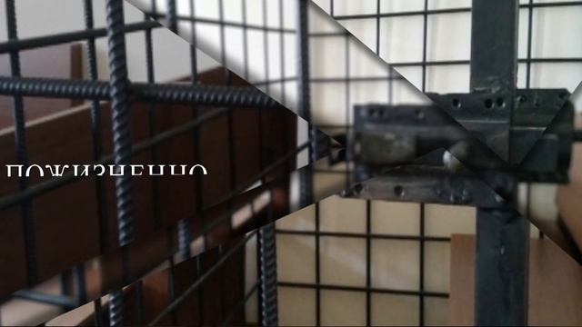 СК России: итоги за неделю 13.03.2020 смотреть онлайн