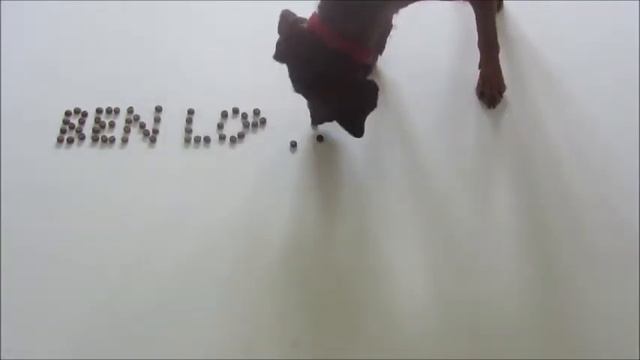 For Erica x x смотреть онлайн