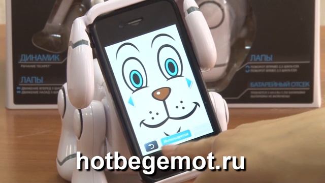 Игрушки для мальчиков и ВЗРОСЛЫХ. Обзор TechPet (ТекПэт) смотреть онлайн