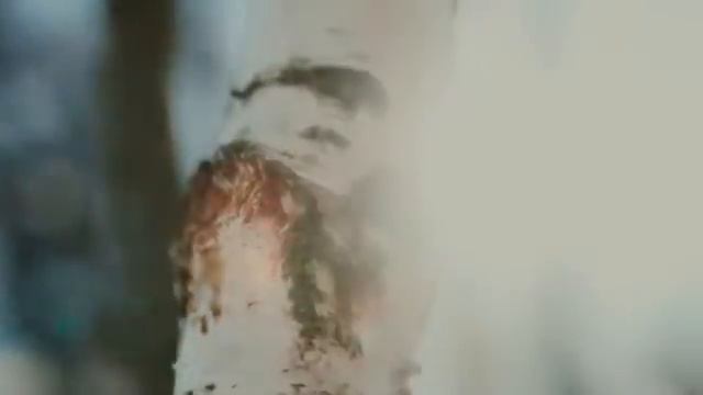 Отборный цветочный мед 