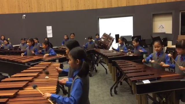 Pirates of the Caribbean percussion ensemble .Diocesan Girls Junior School Percussion Band. смотреть онлайн