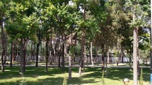 Чкаловск 2020 Таджикистан сегодня