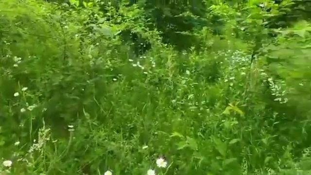 Муж уехал,а я осталась со Свекром.