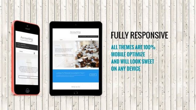 TallyThemes High Quality Premium WordPress Themes Overview смотреть онлайн