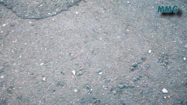 Dagestan Животные 1 - Dagestan Animals 1