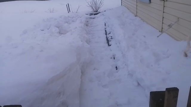 Vlog / Домашний влог. Покупка продуктов. Дела житейские. смотреть онлайн