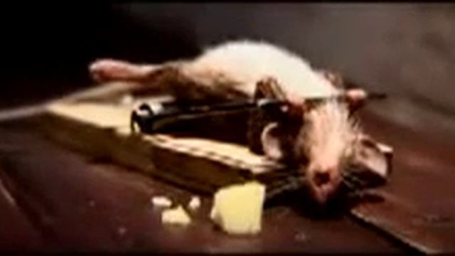 Никогда не сдавайся !!! Иди только вперед!!! Прикольная мотивация))) смотреть онлайн