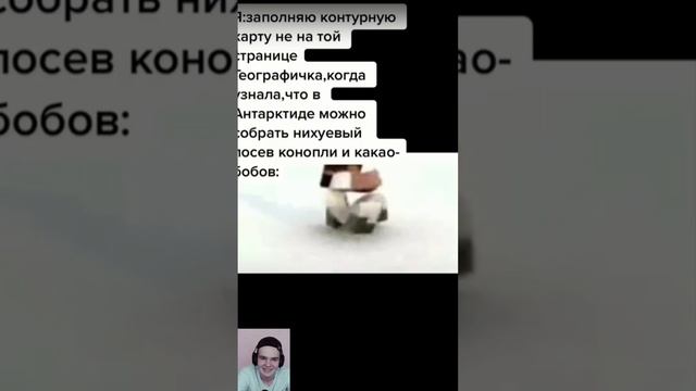 #Реакция_на_мемы