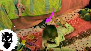 5 РЕАЛЬНЫХ БАБКА-ЁЖЕК СНЯТЫХ НА КАМЕРУ [Черный кот]