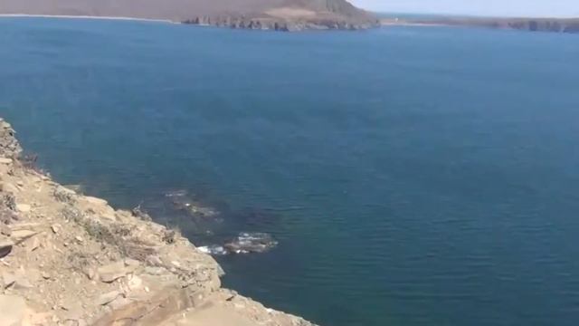 Мыс Тобизина Остров Русский Владивосток смотреть онлайн