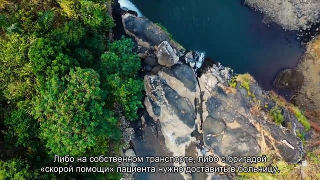 Как не отравиться грибами смотреть онлайн