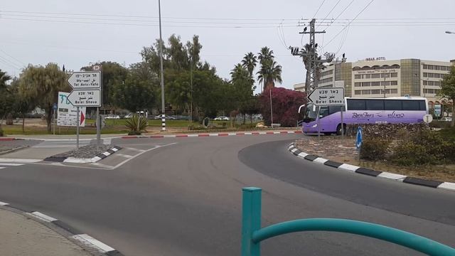 Зоомагазин в Араде.Достопримечательности Арада