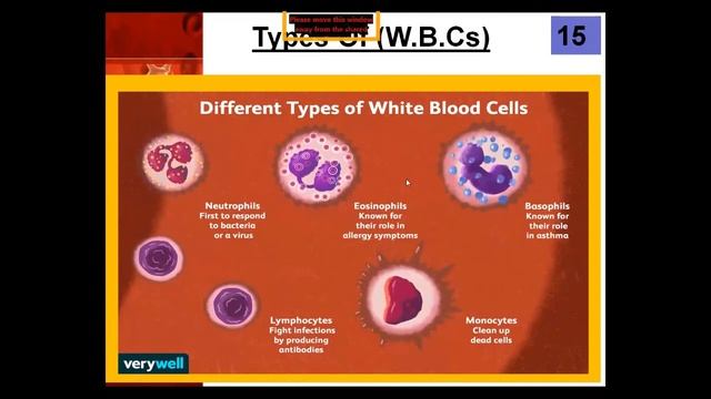 Biology Class Nine Day 02 (Week 03 Phase II) смотреть онлайн