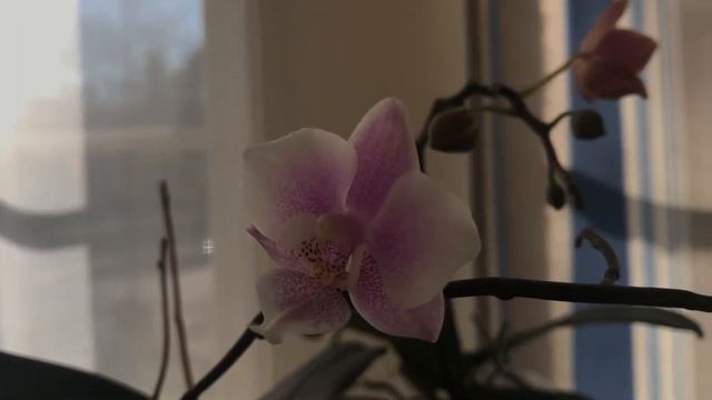 Update for March 2018 смотреть онлайн