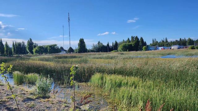 Laguna de los cisnes, Perito Moreno Provincia de Santa cruz смотреть онлайн