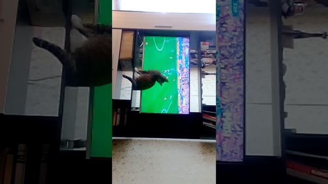 Шурик смотрит Евро 2016 смотреть онлайн