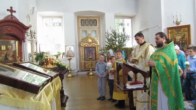 Встреча чудотворных икон из Николо-Теребенского женского монастыря в Оковецком кафедральном соборе смотреть онлайн