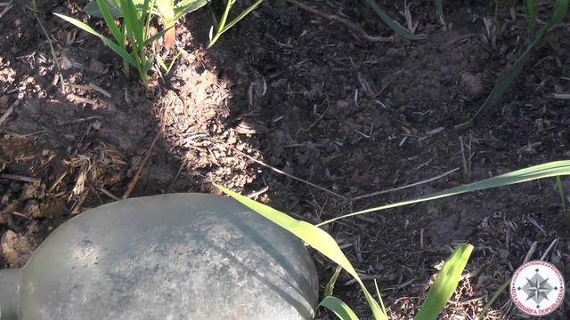 Вылазка за кладом в Тверскую губернию (день1) смотреть онлайн