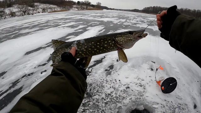 Рыбалка на жерлицы, поклёвки одна за другой смотреть онлайн