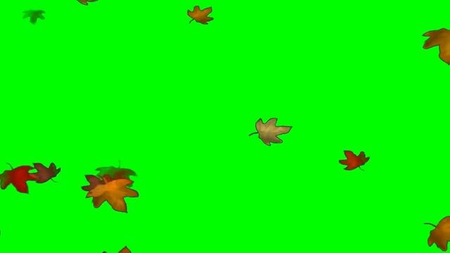 Green screen autumn leaves and wind sound смотреть онлайн