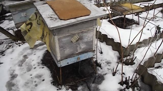 жидкая подкормка пчел раннею весной смотреть онлайн