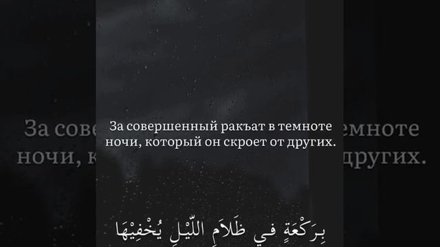 Ни в коем случае не печалься о дунье и о том ,что в ней! смотреть онлайн
