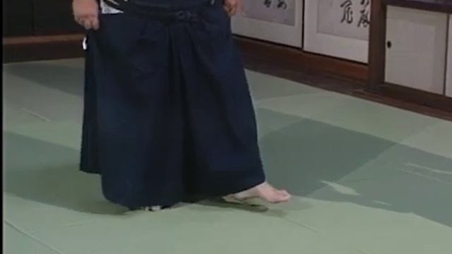 The Art Of Aikido Volume 6 By Rev. Kensho Furuya Aikido Kenshofuruya Budo