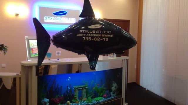 Летающая рыба Stylus Studio