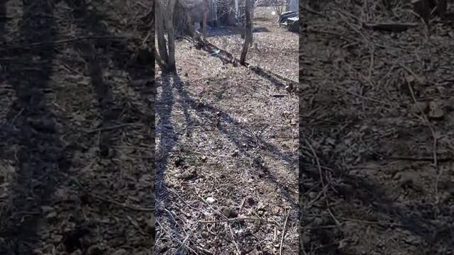 Строительные Чудеса