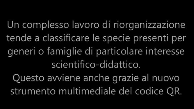 ''Il Segno Del Ginkgo Biloba'' - Orto Botanico Di Pavia