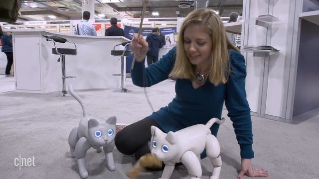 Get ready to cuddle with this bionic robot cat смотреть онлайн