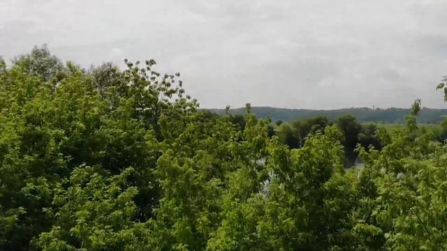 Мужики поехали за рыбой смотреть онлайн