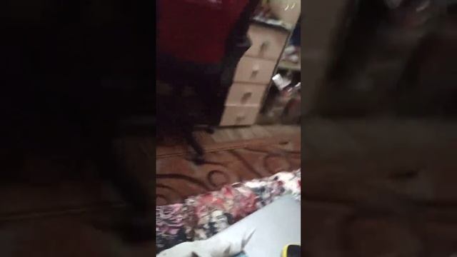 легенда животных тянучки смотреть онлайн