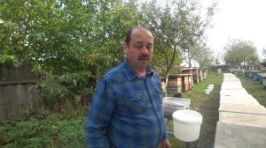 Замена пчеломатки в семье. 3 способа.