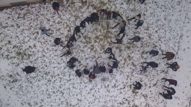 How to start a snow war . смотреть онлайн