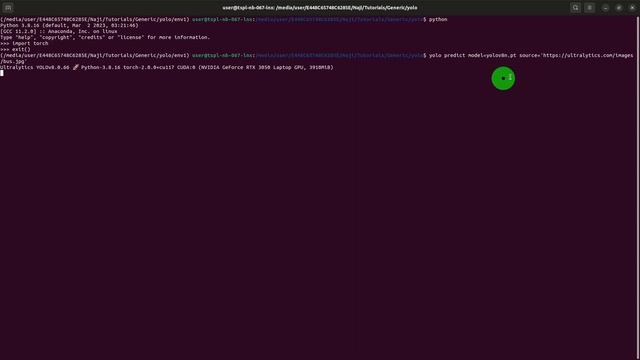 YOLOv8 - installation and prediction смотреть онлайн