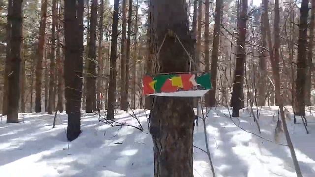 Весна. Вешаю кормушку для птиц. Проверяю берёзовый сок. | апрель| смотреть онлайн
