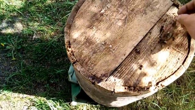 обзор дуплянки для ловли роёв смотреть онлайн